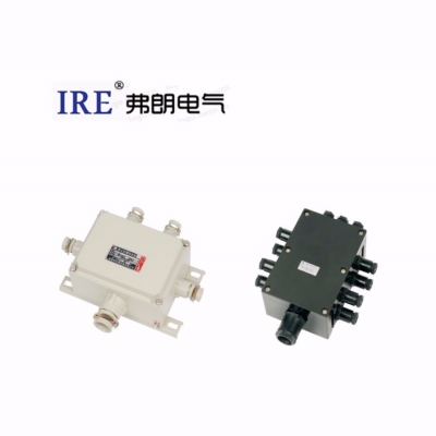 “IRE”防爆配电箱名称及型号